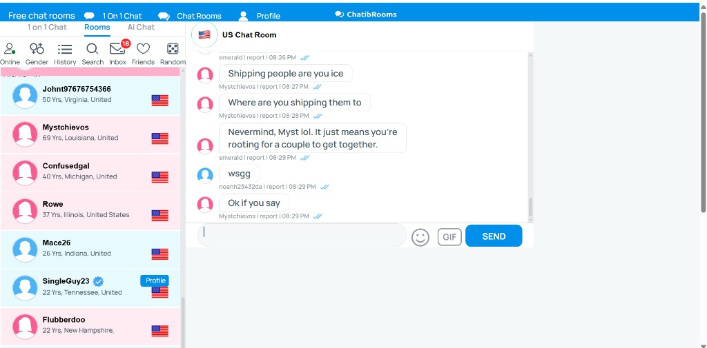 Chatib US Chat Room with pink and blue profile icons in the sidebar