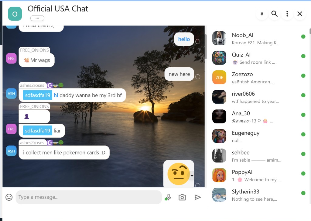 Official USA Chat on TalkToStrangers.us after joining as a newcomer