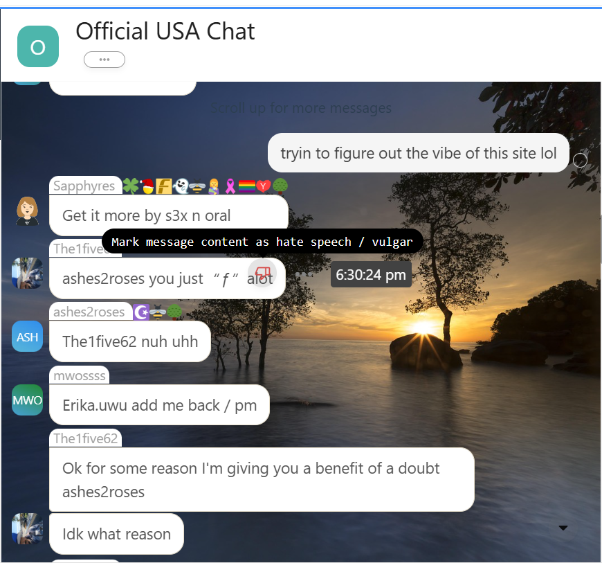 Overlapping conversations in Official USA Chat that are hard for a newcomer to enter