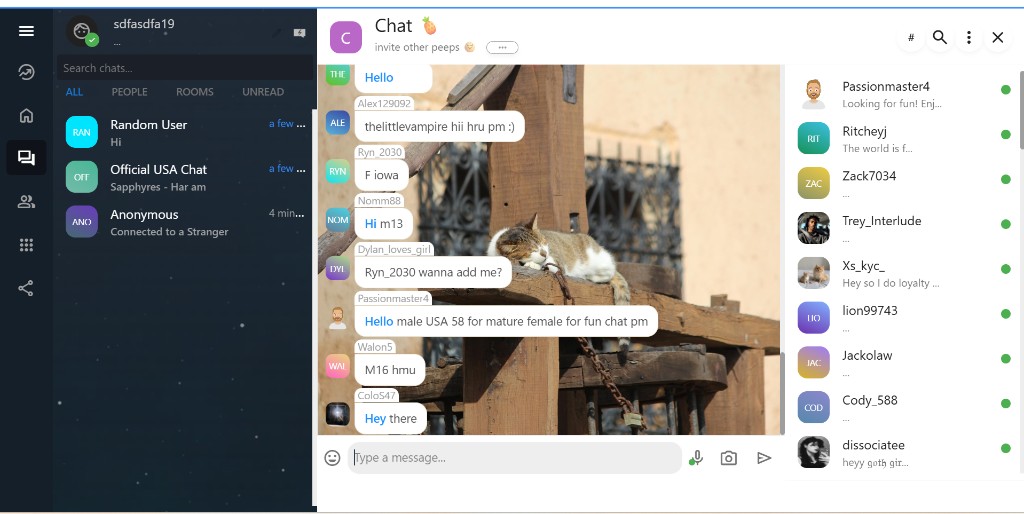 TalkToStrangers.us with multiple rooms, a busy chat pane, and an online user list